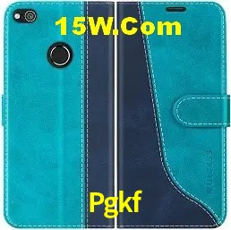 Login Seguro Pgkf