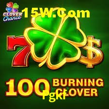 Security Systems Pgkf