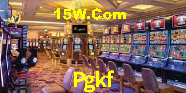 Premium Interface Pgkf